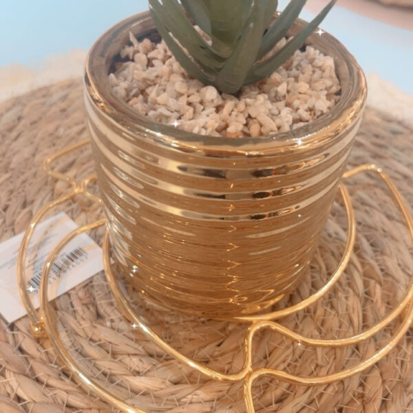 بوت بورسلين