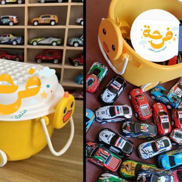 صندوق العربيات شكل كتكوت